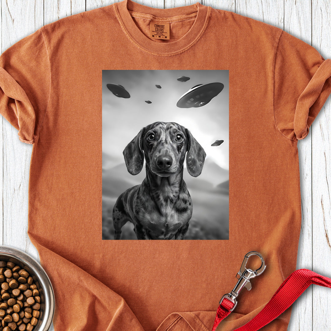 Dachshund UFO Premium Tee — Yam