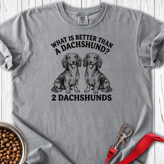 Dachshund What Is Better Than One Premium Tee Grey