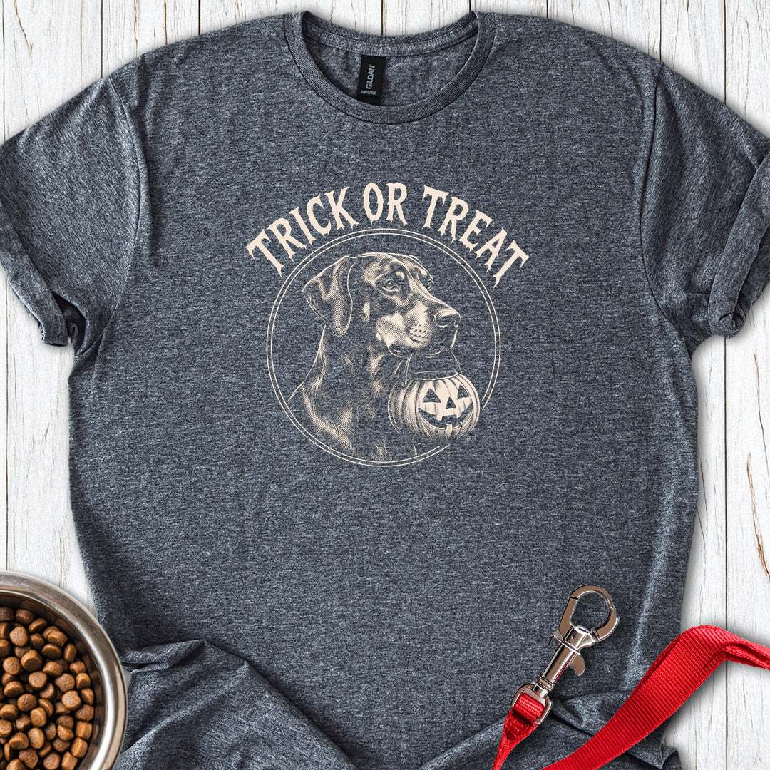 Dobermann Halloween Trick or Treat — Dark Heather