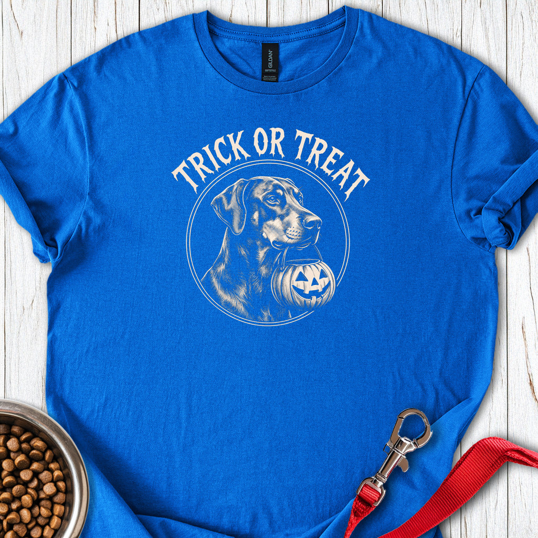 Dobermann Halloween Trick or Treat — Royal