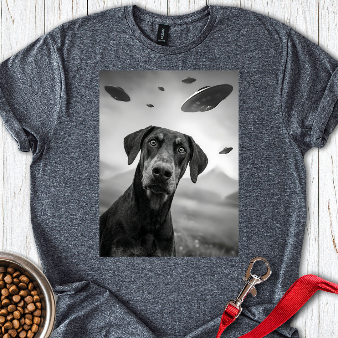 Dobermann Pinscher UFO — Dark Heather
