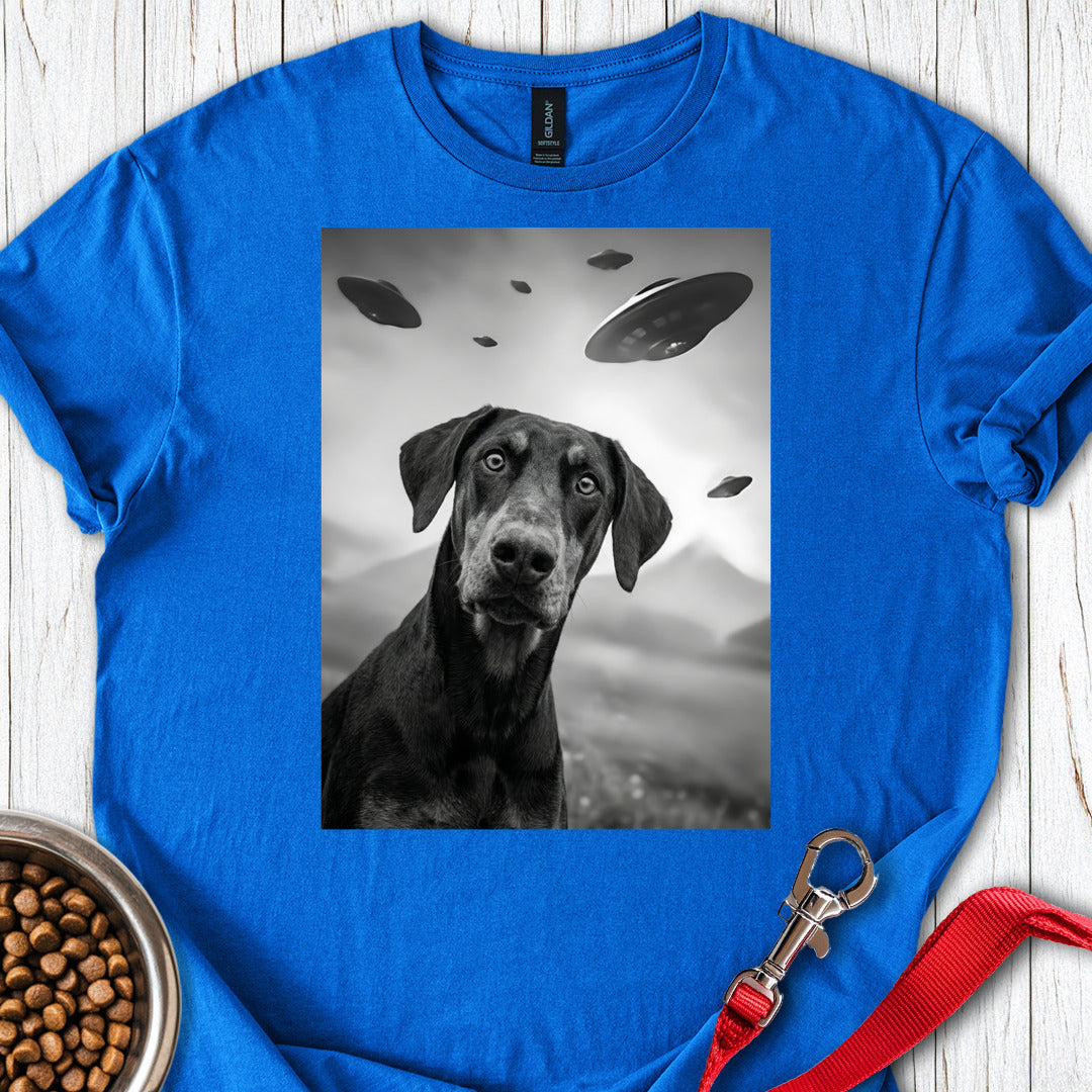 Dobermann Pinscher UFO — Royal