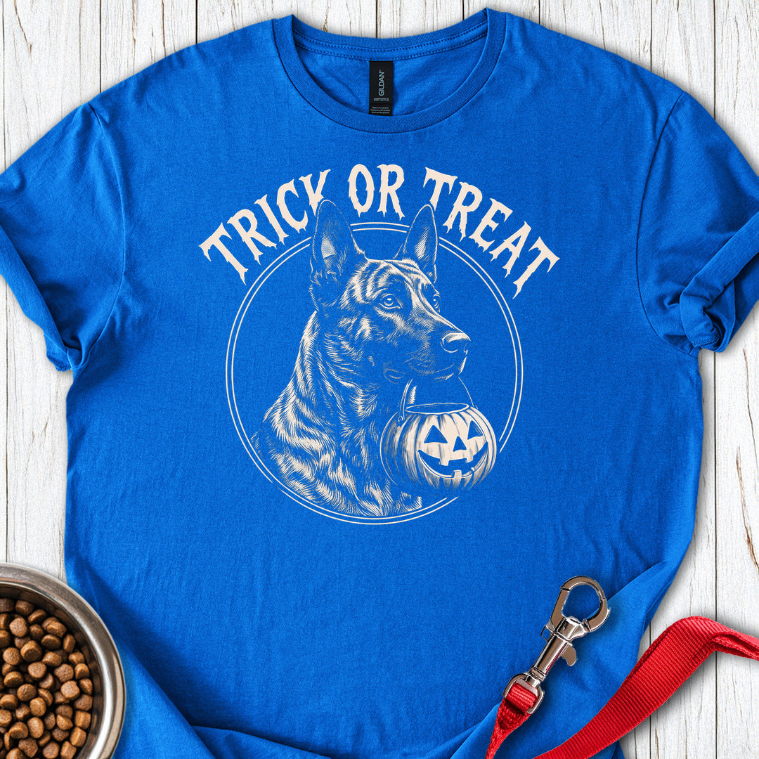 Dutch Shepherd Halloween — Royal