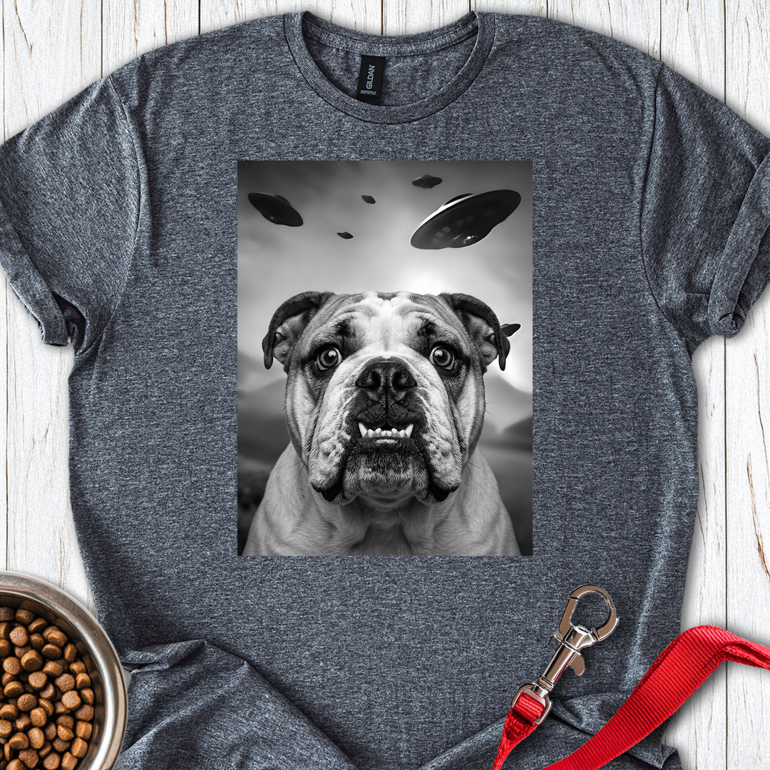 English Bulldog UFO Dark Heather