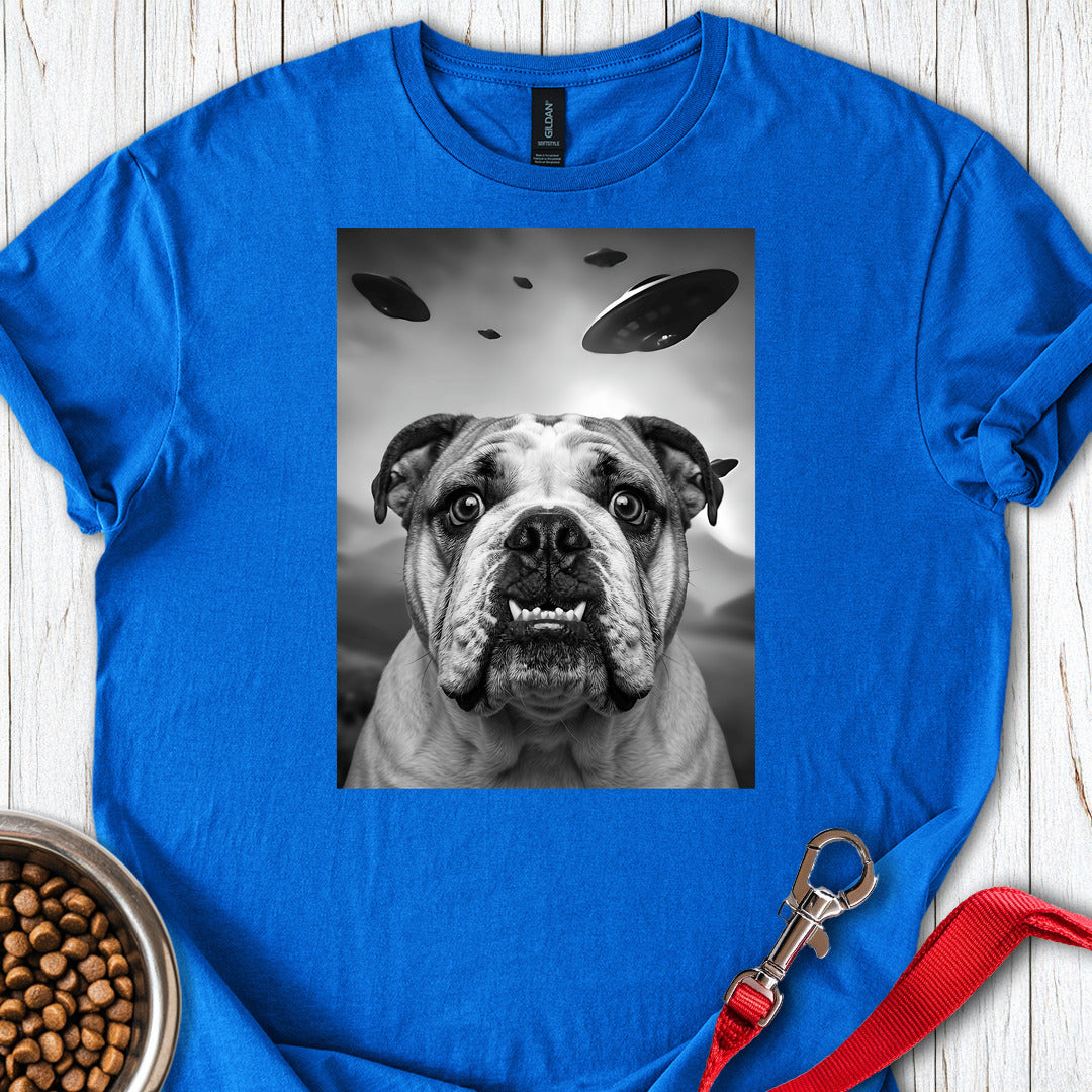 English Bulldog UFO Royal