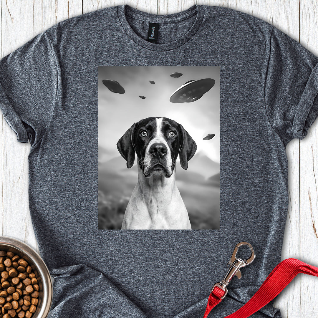 English Pointer UFO — Dark Heather