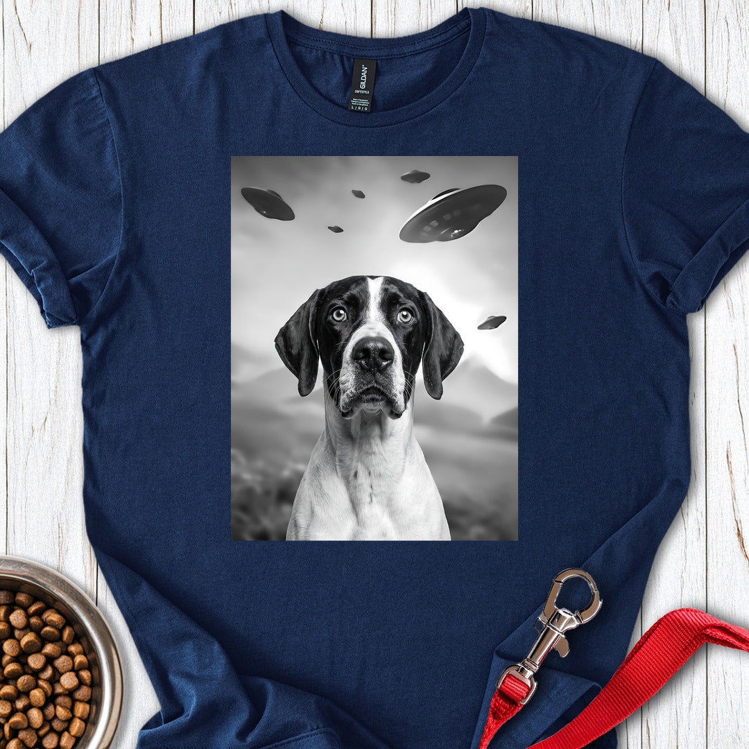 English Pointer UFO — Navy