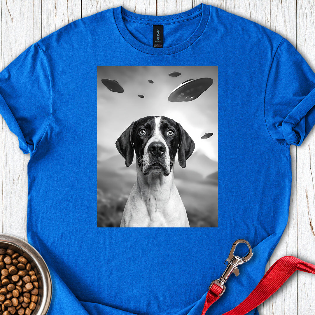 English Pointer UFO — Royal