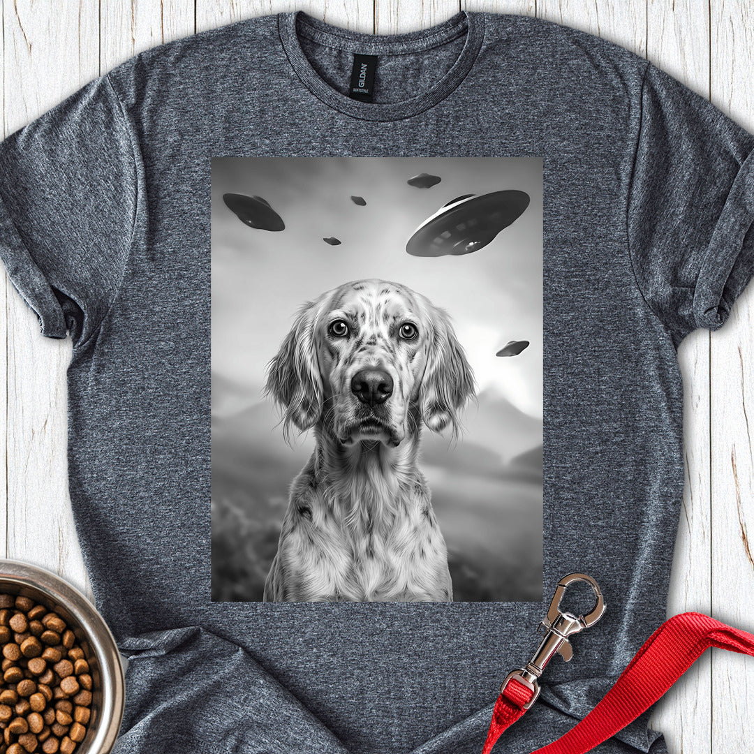 English Setter UFO — Dark Heather