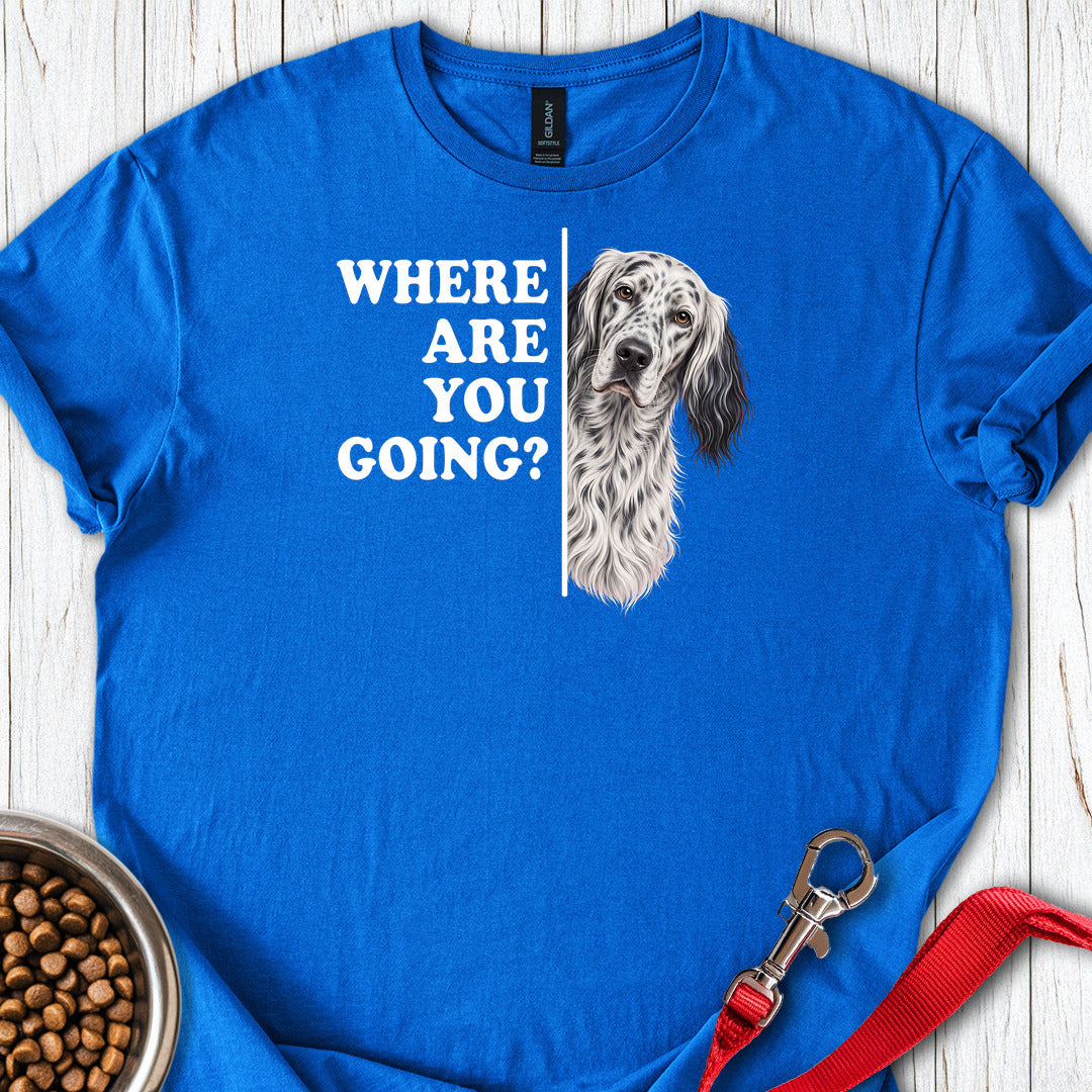 English Setter Where Are You Going — Royal