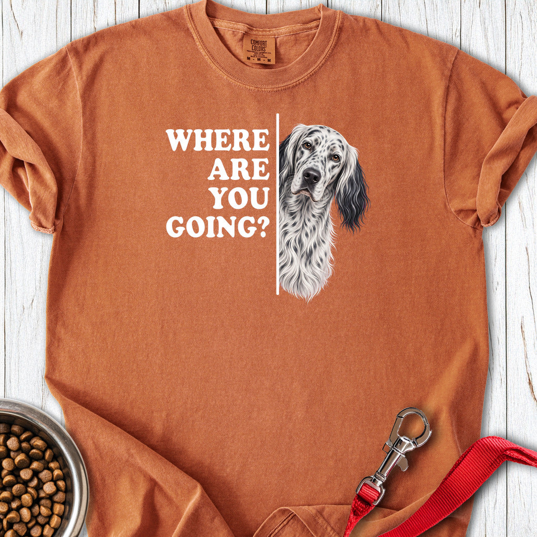 English Setter Where Are You Going Premium Tee — Yam