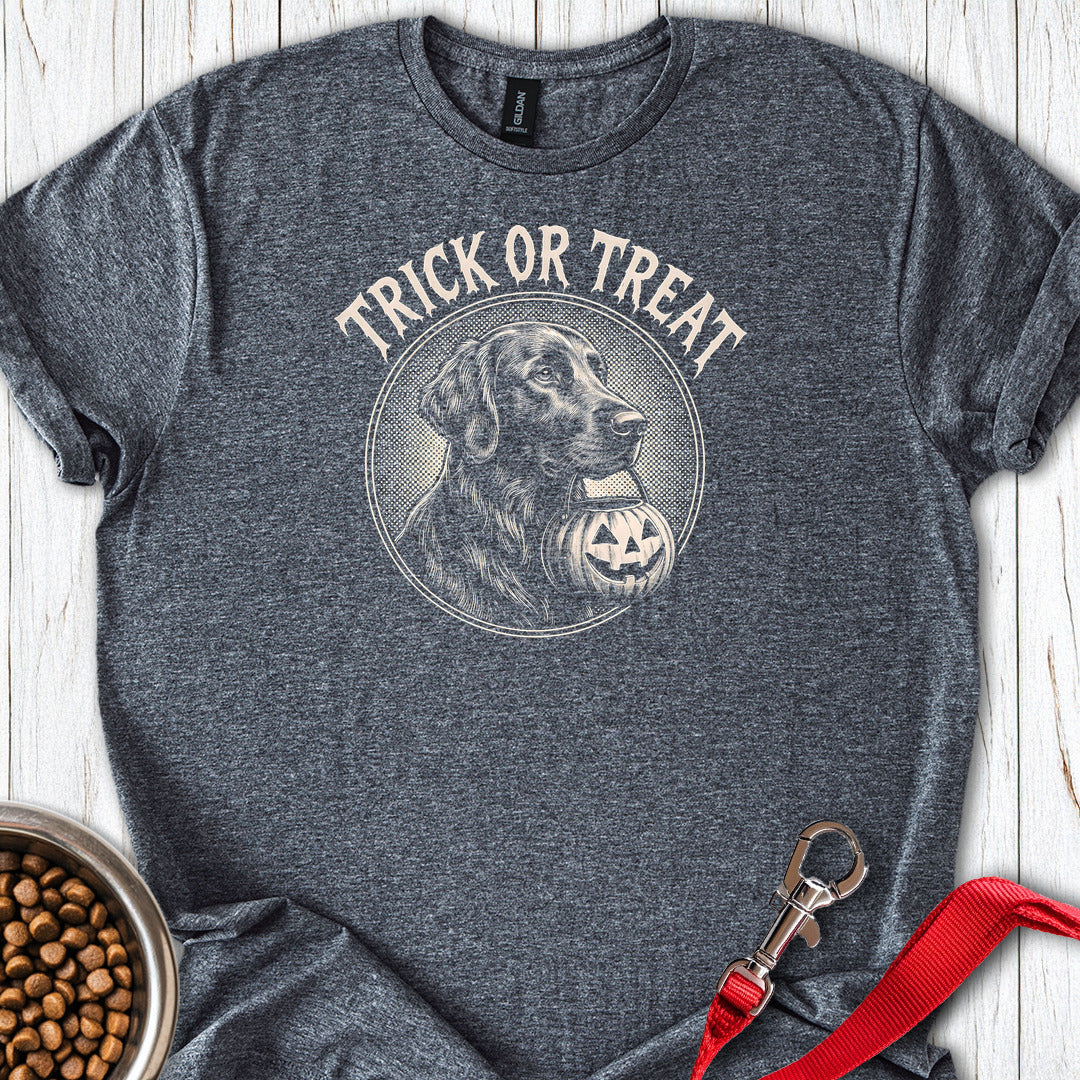 Flat Coated Retriever Trick Or Treat — Dark Heather