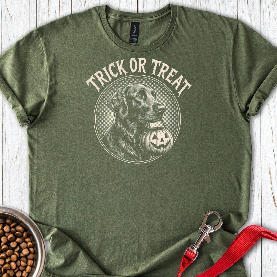Flat Coated Retriever Trick Or Treat — Military Green