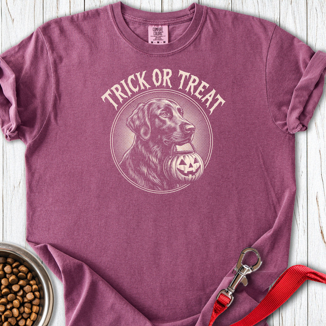 Flat Coated Retriever Trick Or Treat Premium Tee — Berry