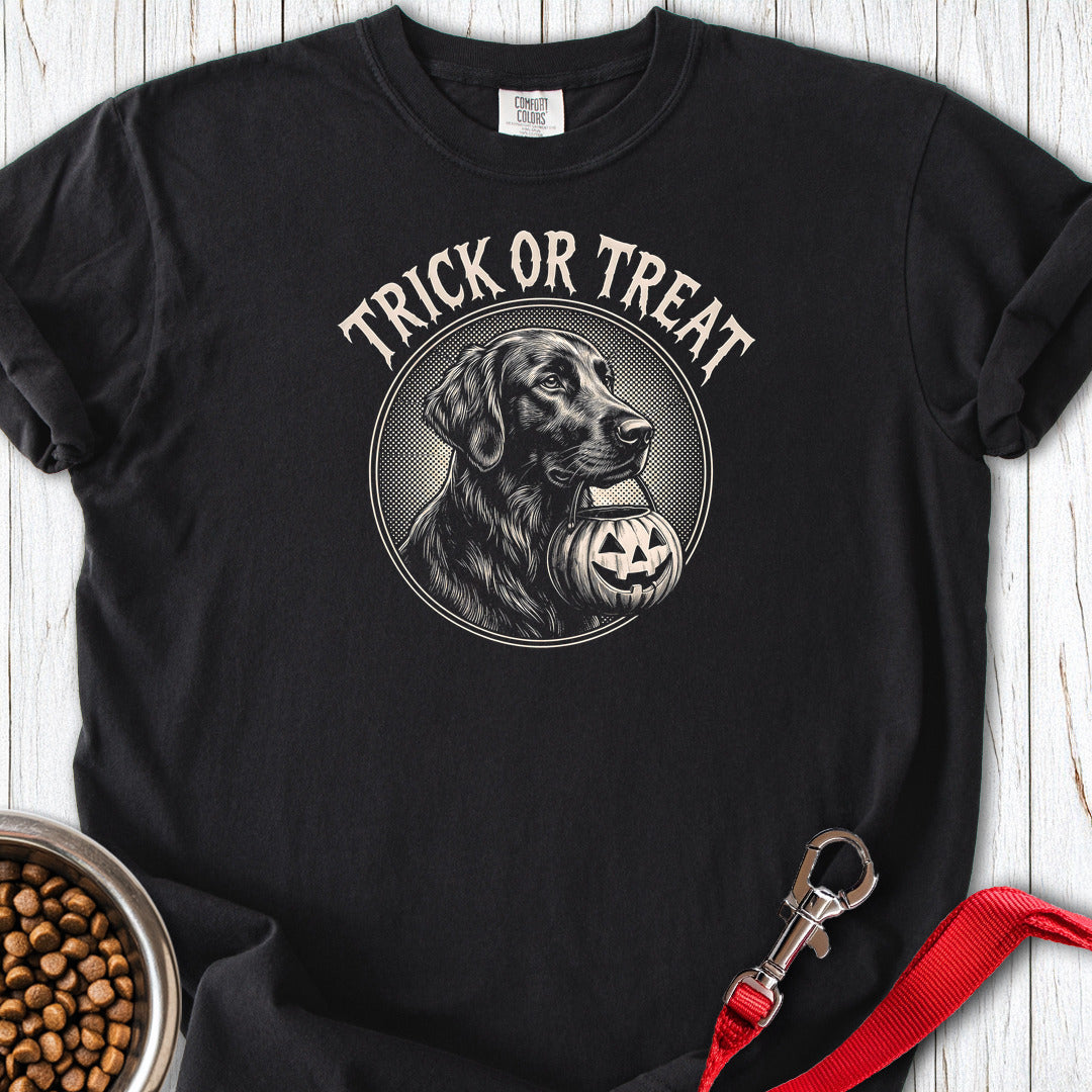 Flat Coated Retriever Trick Or Treat Premium Tee — Black