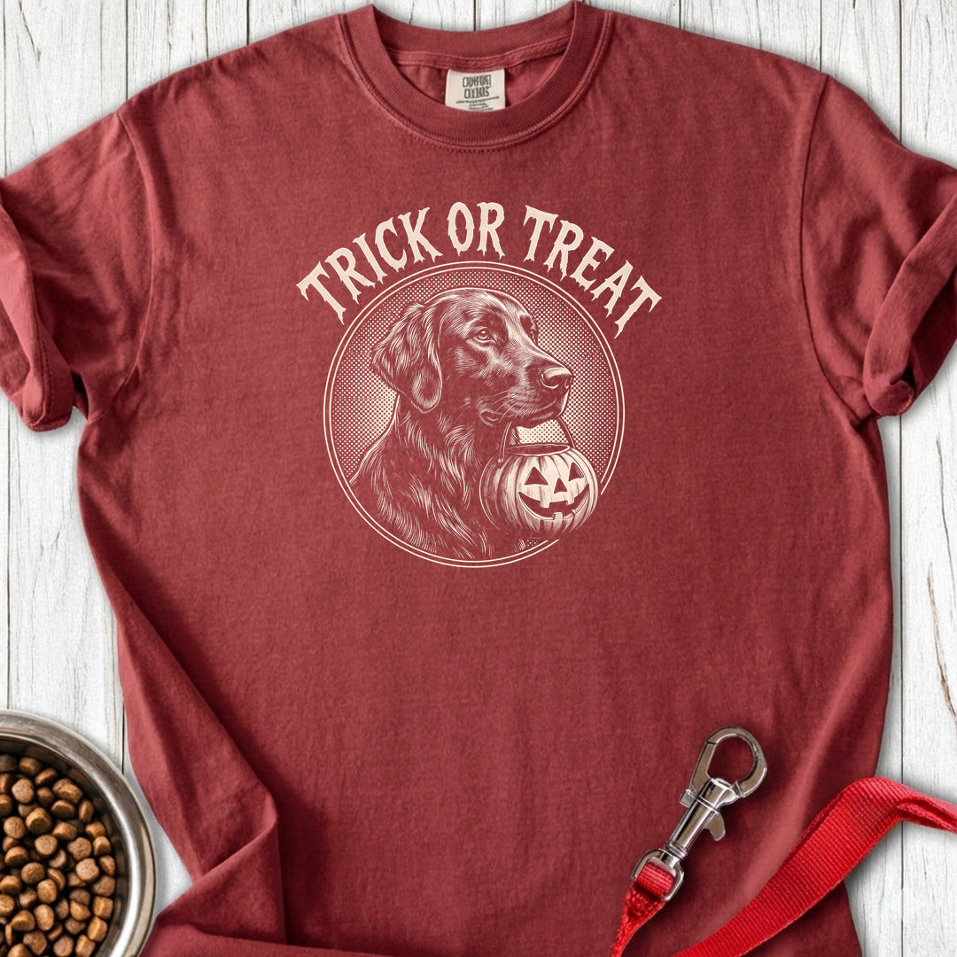 Flat Coated Retriever Trick Or Treat Premium Tee — Brick