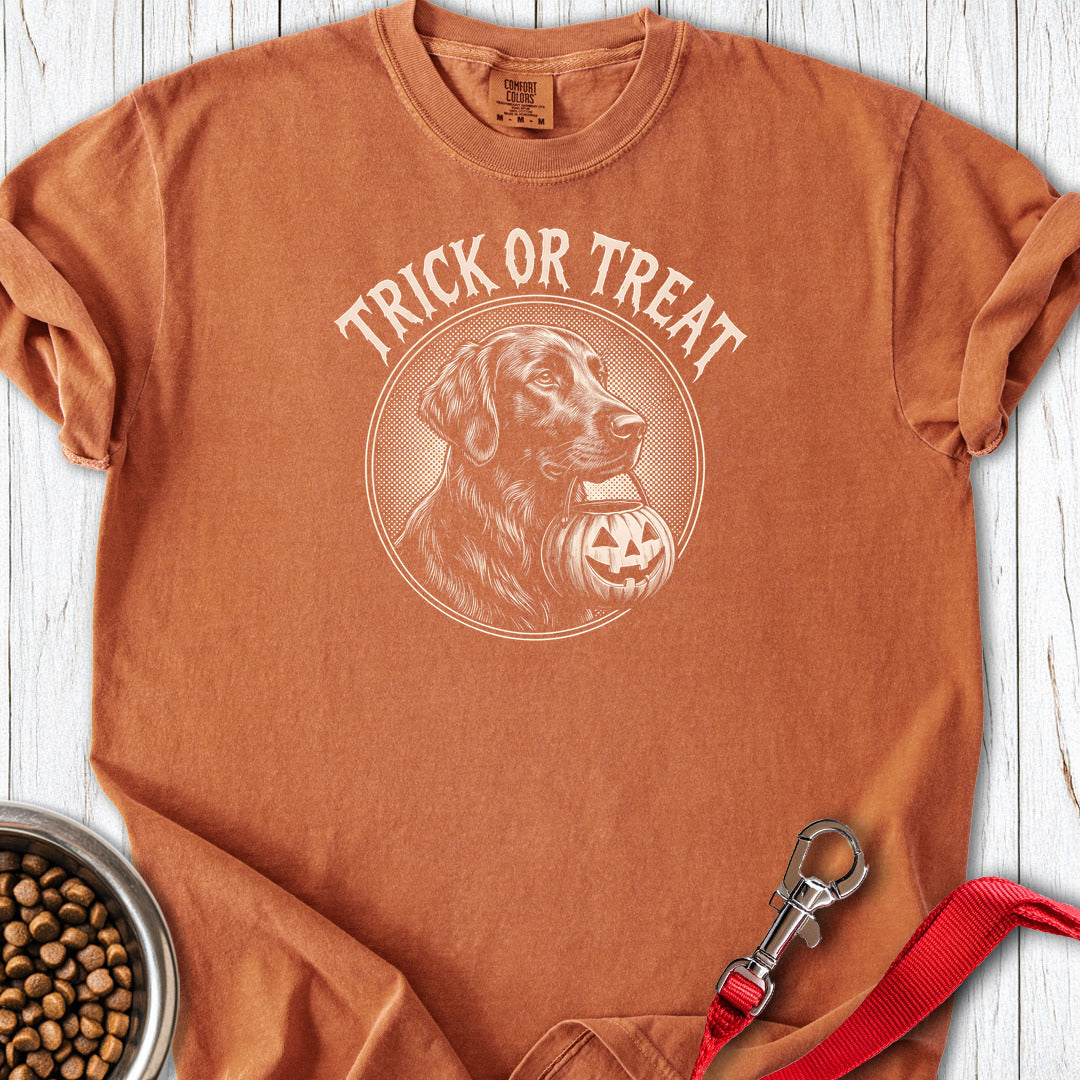 Flat Coated Retriever Trick Or Treat Premium Tee — Yam