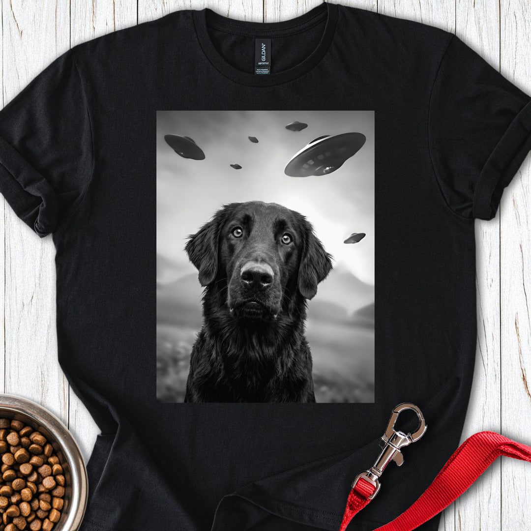 Flat Coated Retriever UFO — Black