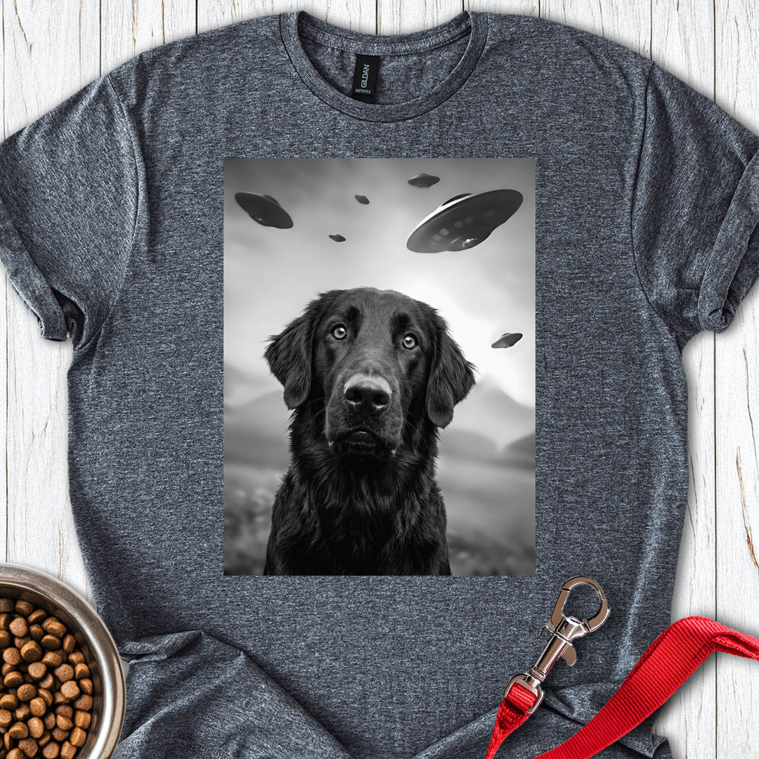 Flat Coated Retriever UFO — Dark Heather