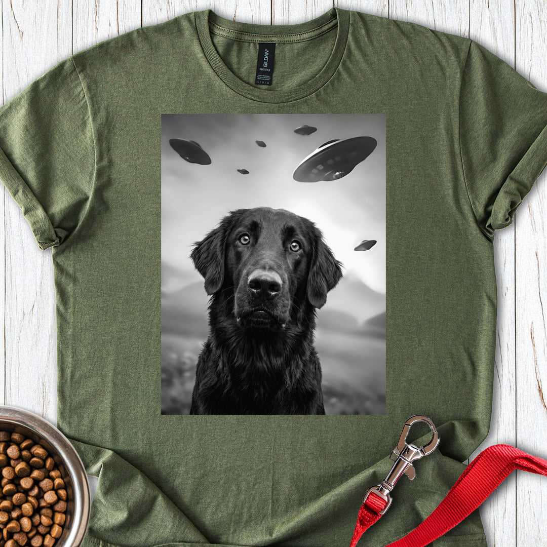 Flat Coated Retriever UFO — Military Green