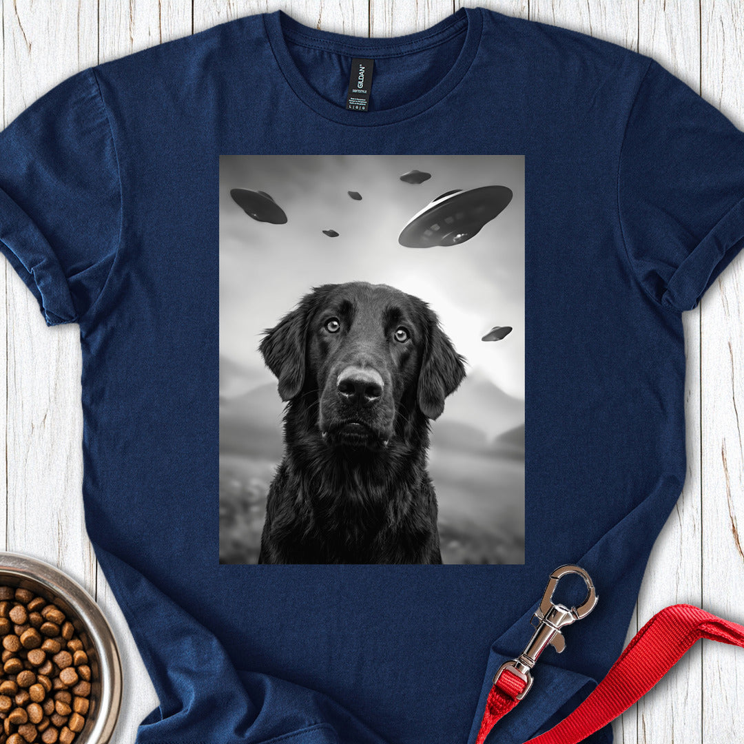 Flat Coated Retriever UFO — Navy