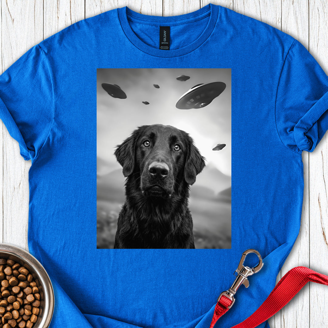 Flat Coated Retriever UFO — Royal