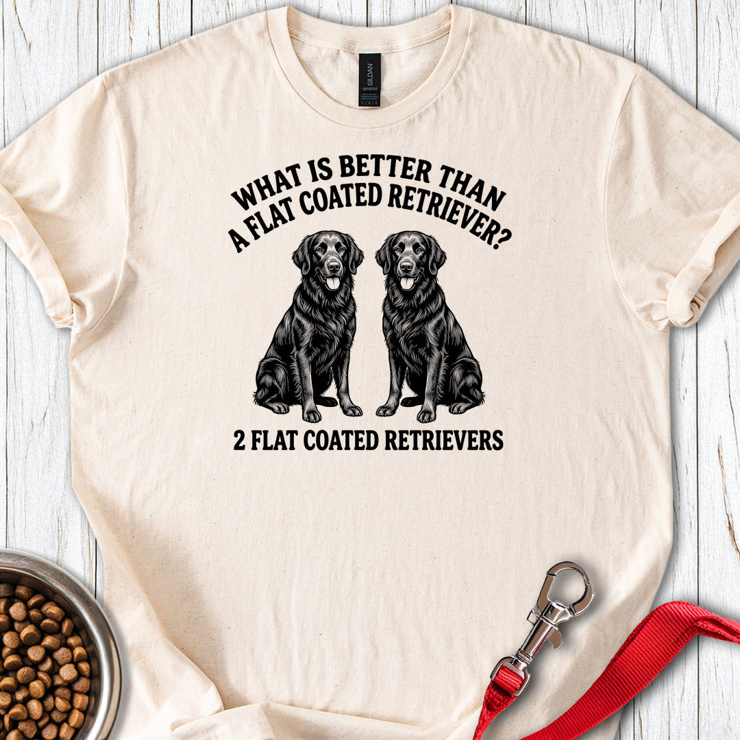 Flat Coated Retriever What Is Better Than One — Natural