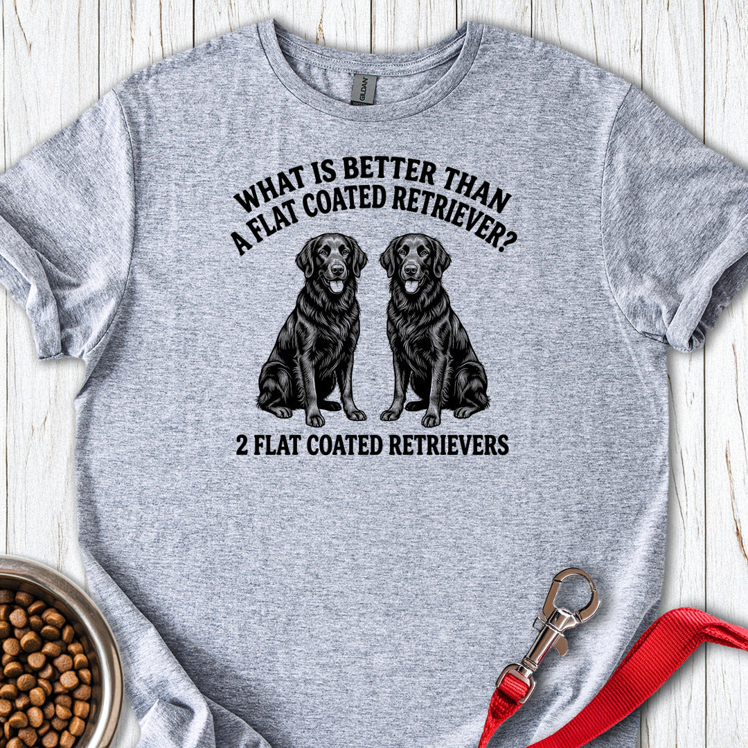 Flat Coated Retriever What Is Better Than One — Sport Grey