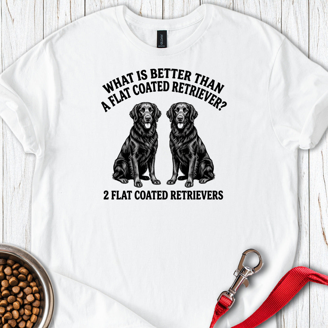 Flat Coated Retriever What Is Better Than One — White