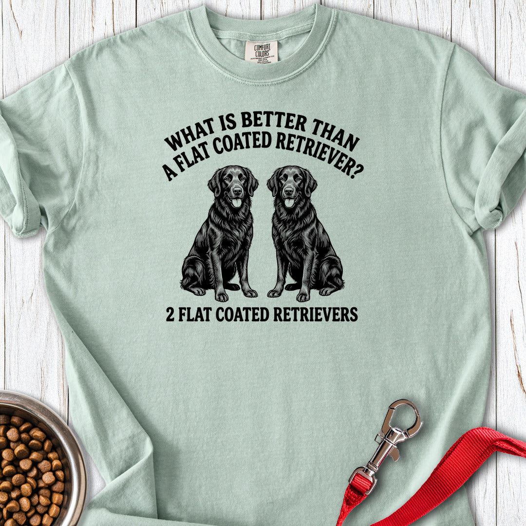Flat Coated Retriever What Is Better Than One Premium Tee — Bay