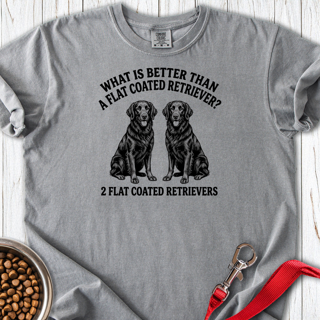 Flat Coated Retriever What Is Better Than One Premium Tee — Grey
