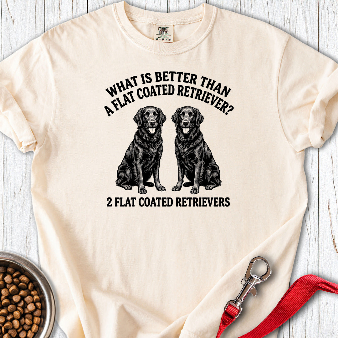 Flat Coated Retriever What Is Better Than One Premium Tee — Ivory