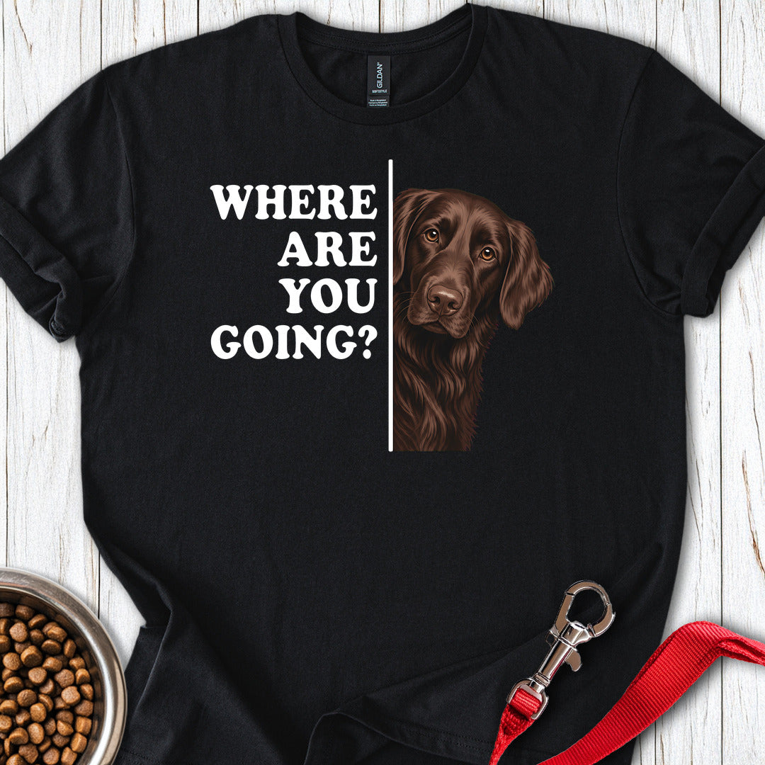 Flat Coated Retriever Where Are You Going — Black