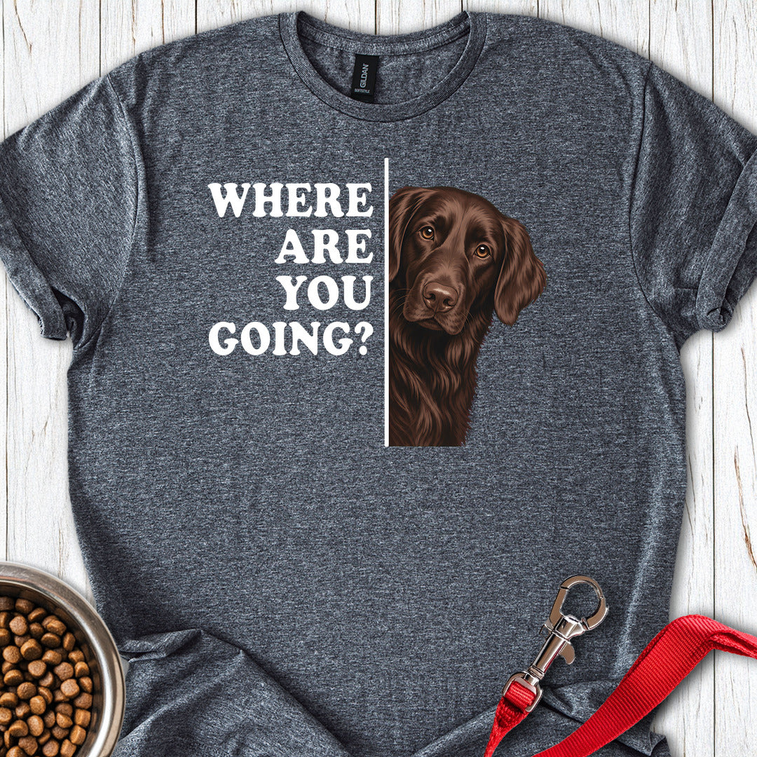Flat Coated Retriever Where Are You Going — Dark Heather