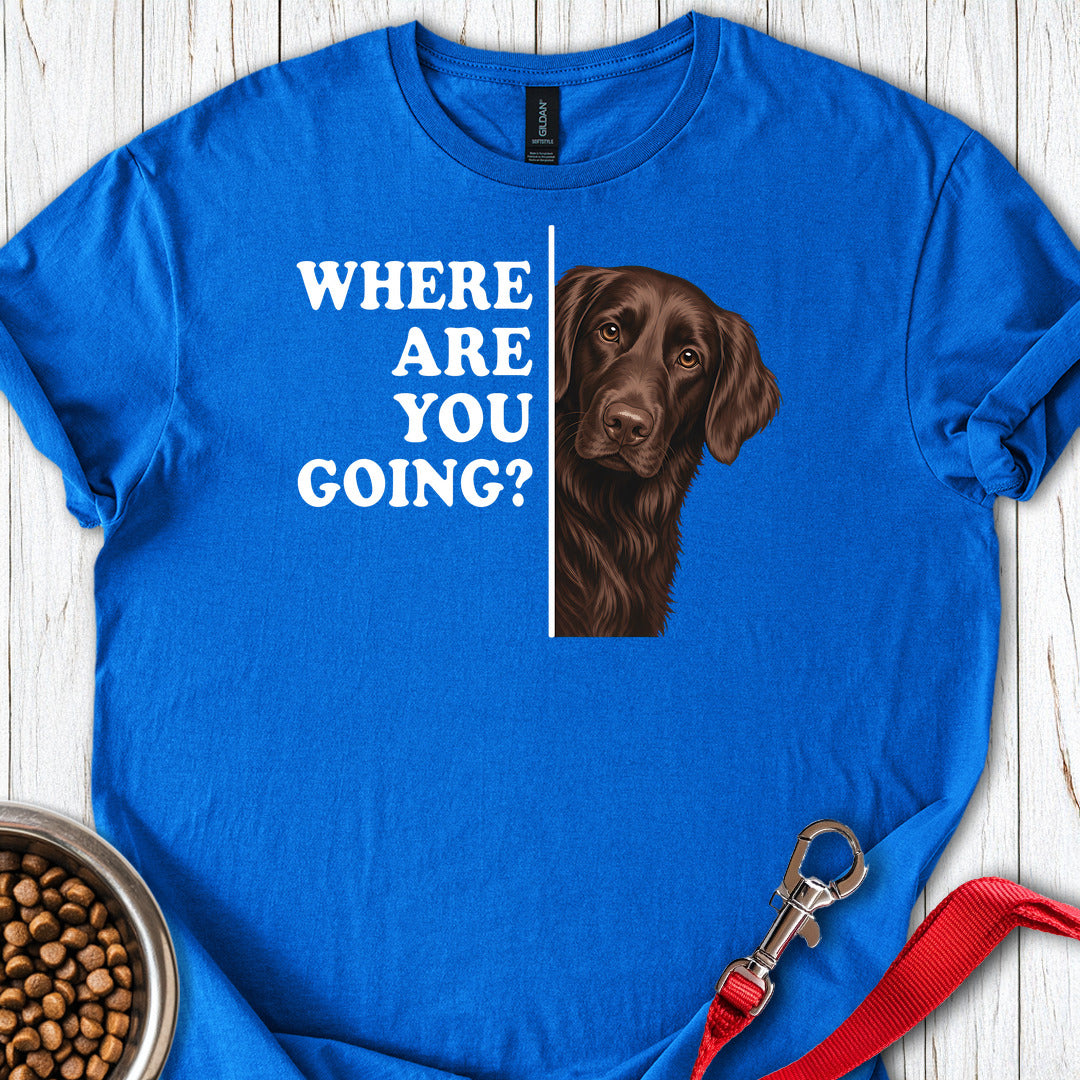 Flat Coated Retriever Where Are You Going — Royal