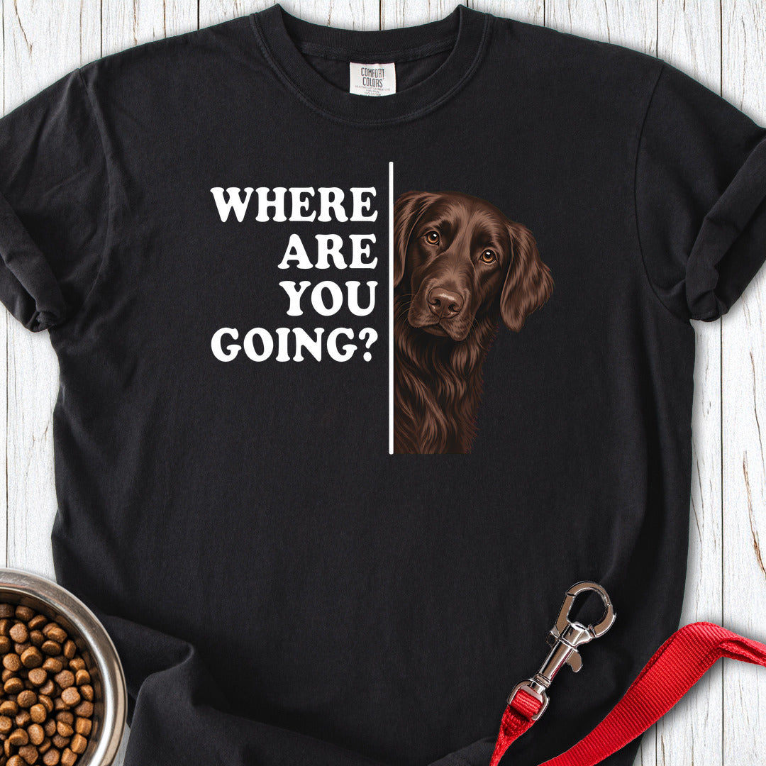 Flat Coated Retriever Where Are You Going Premium Tee — Black