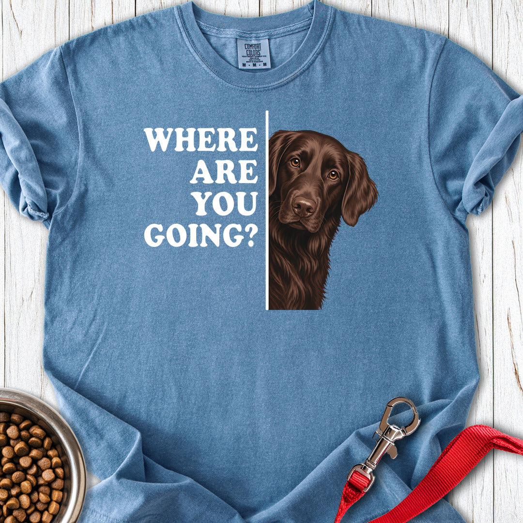 Flat Coated Retriever Where Are You Going Premium Tee — Blue Jean