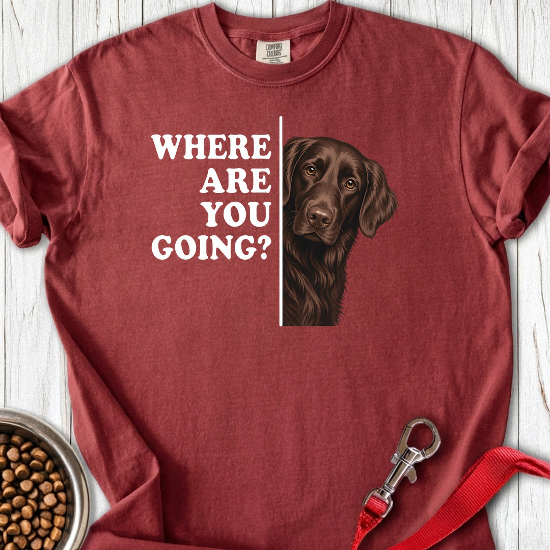 Flat Coated Retriever Where Are You Going Premium Tee — Brick