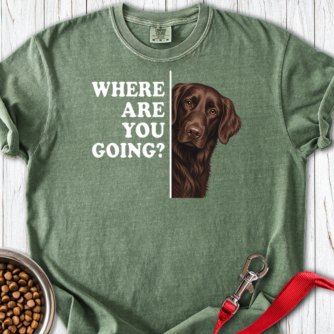 Flat Coated Retriever Where Are You Going Premium Tee — Moss