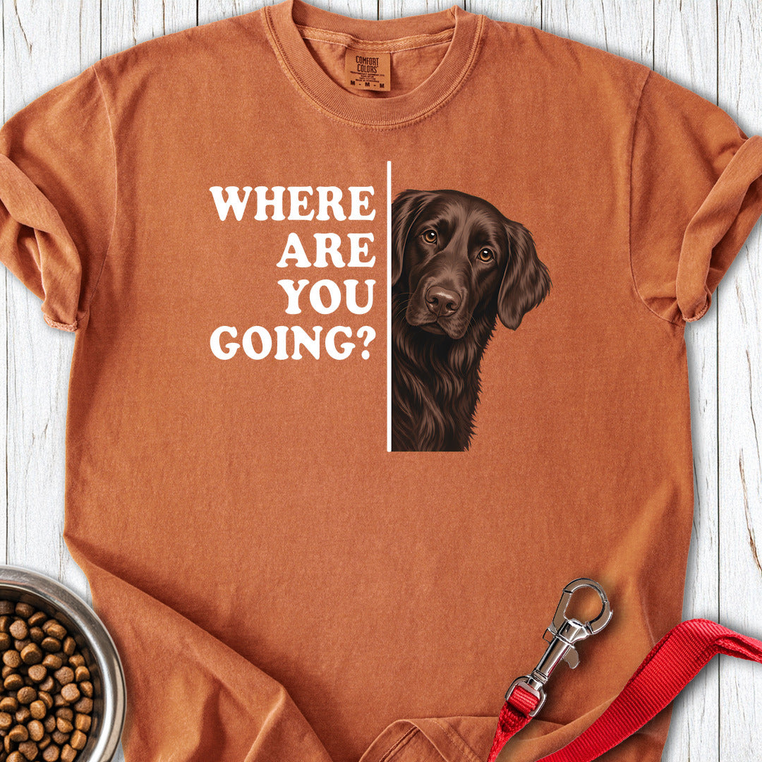 Flat Coated Retriever Where Are You Going Premium Tee — Yam