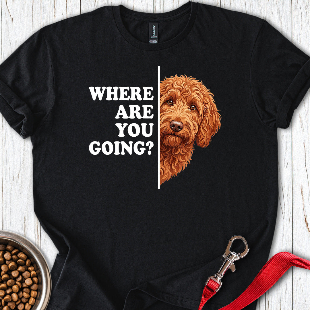 Following Labradoodle Black