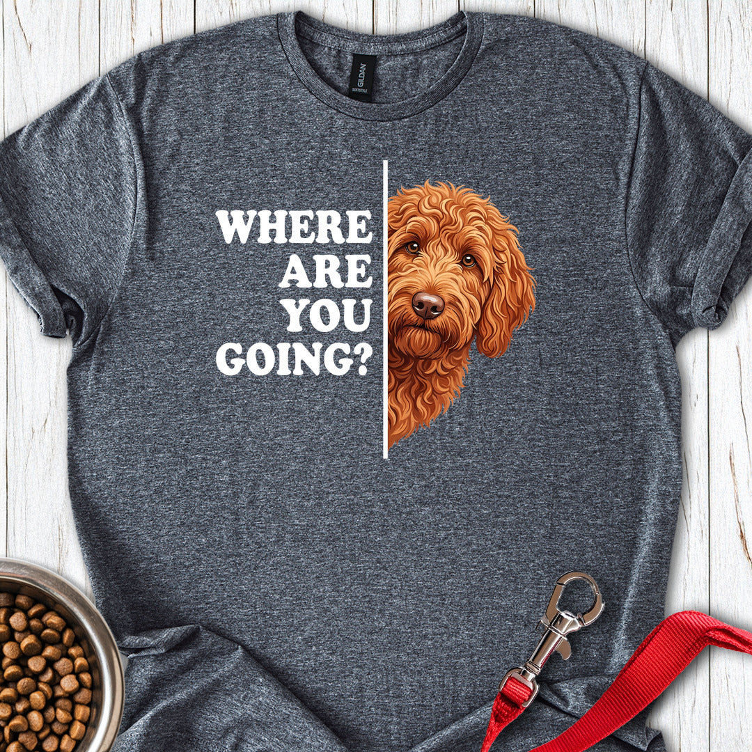Following Labradoodle Dark Heather