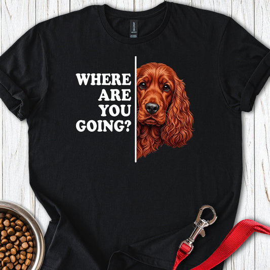 Following Red Cocker Spaniel Black