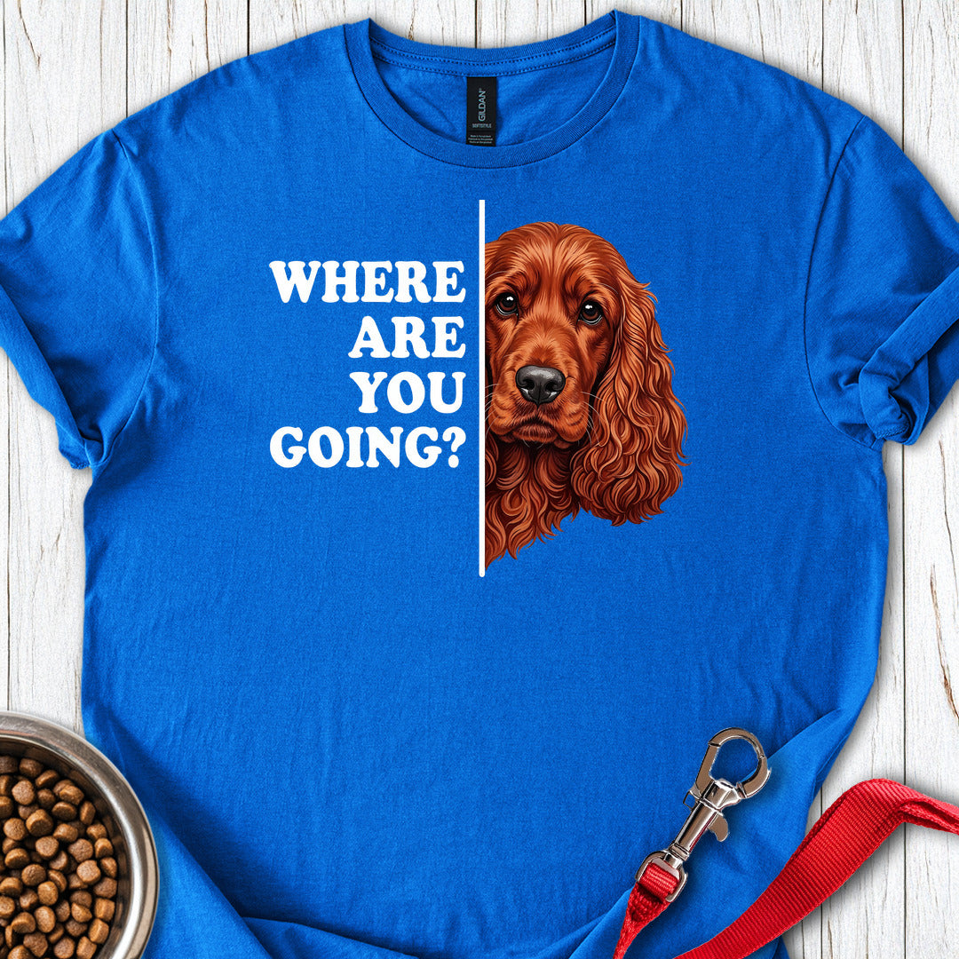 Following Red Cocker Spaniel Royal