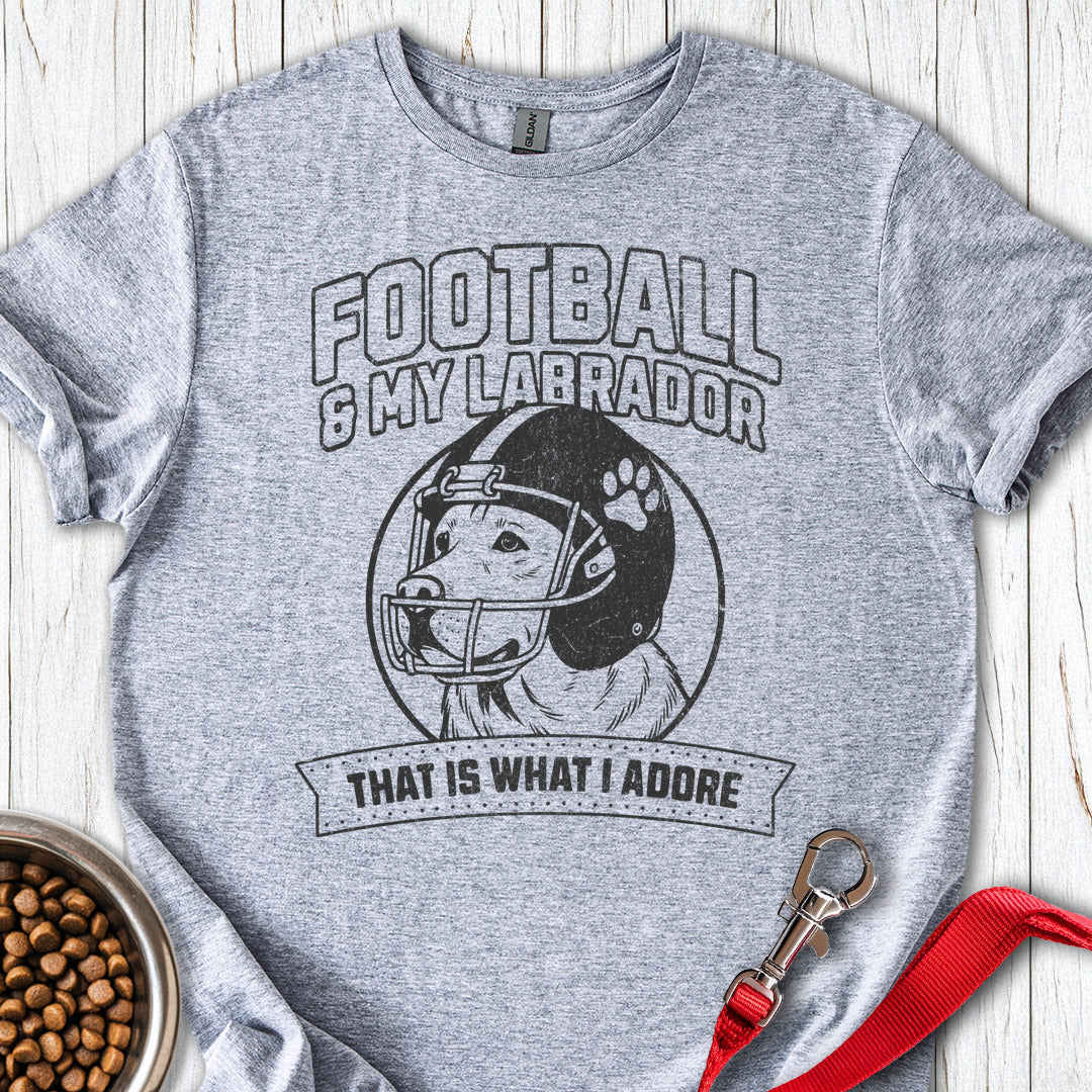 Football & My Labrador Sport Grey