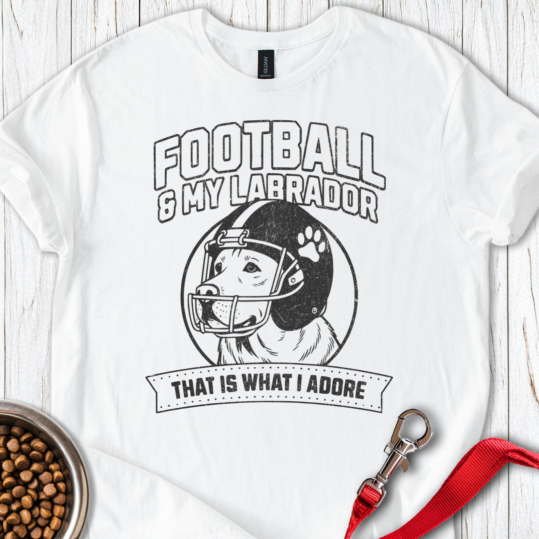 Football & My Labrador White