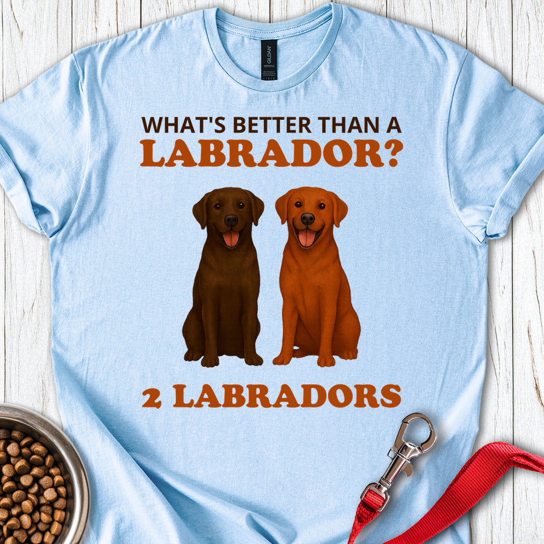 Fox Red and Chocolate Labrador Light Blue