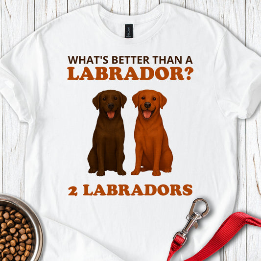 Fox Red and Chocolate Labrador White