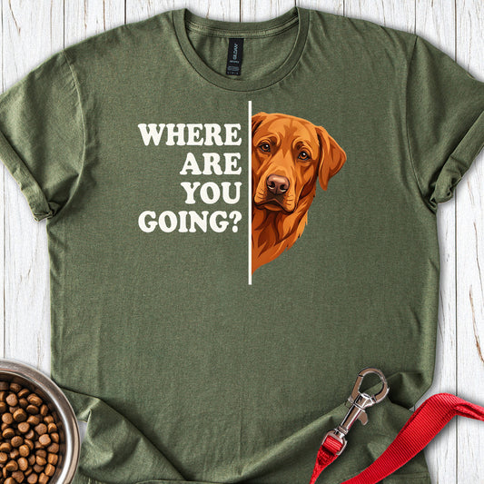 Fox Red Lab Following Military Green