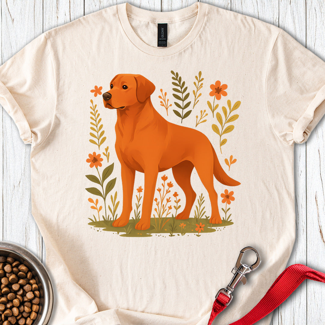 Fox Red Labrador Natural
